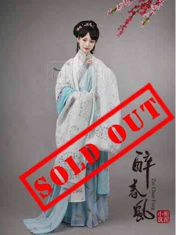 【唐装・漢服ー女】華服古装   酔春風    ひらひら  単品 長袖コート/ロングスカート 数量限定