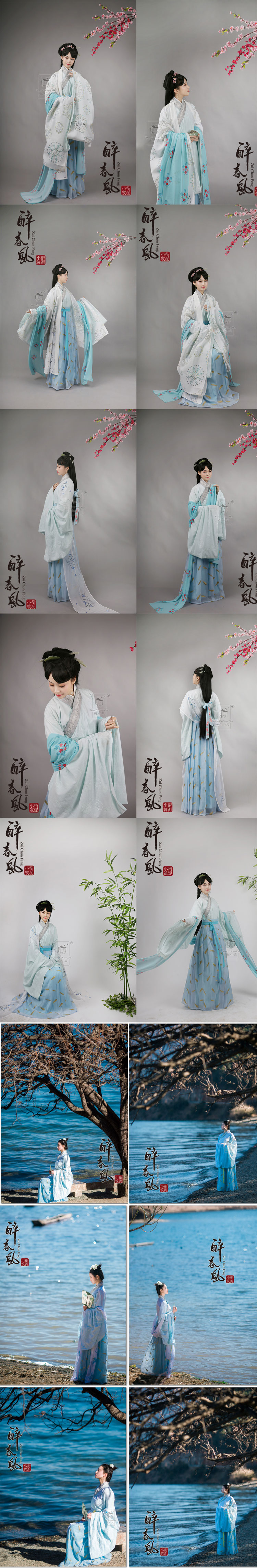【唐装・漢服ー女】華服古装   酔春風    ひらひら 長袖コート/ロングスカート 数量限定